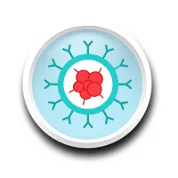 Anti Cancer